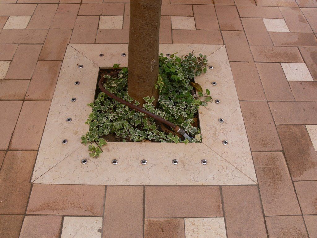 Hotel Barceló Sancti Petri