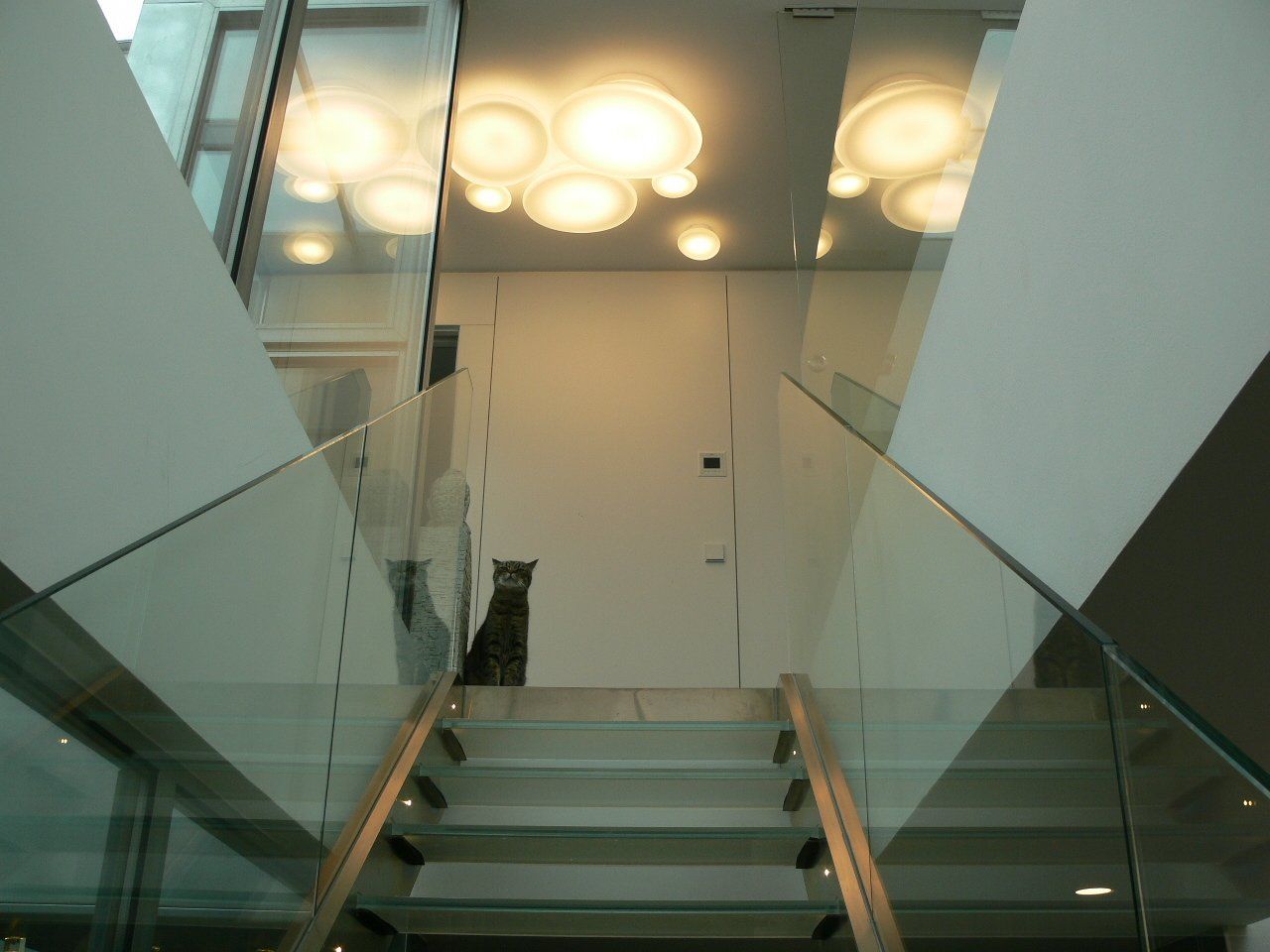 Recibidores y Pasillos