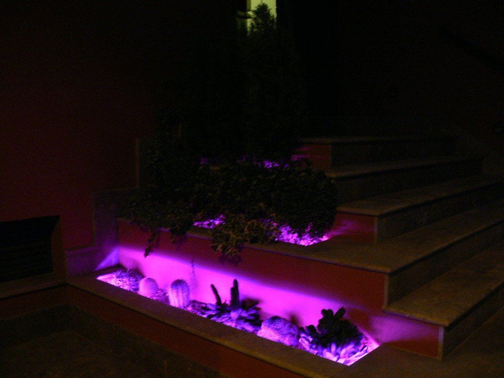 Jardín
